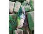 Dalmia Cement - 4262 Bags at Warsaliganj, BH