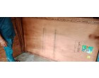 Greenply Board - 520 Pcs at Thane MH