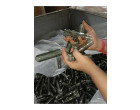 Diamond Beverages : Damaged Stock of raw material of preform and packaging material