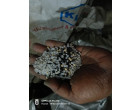 Water Damaged HDPE, PVC, XLPE Chips-30750 kg. at Howrah , Kolktata