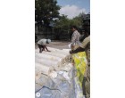 Cotton Grey Un-calendared Fabric – – 39 Rolls / 19,000 Mtrs at Tuticorin Tamilnadu