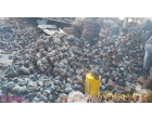 Fire damaged Fans & Its Accessories- Baddi