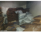 ABS Granule (Coloured) -5850 Kg. at Patiala P