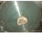 Plain Polyester Film-12 mic.qty-18,569 kg 