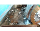 Polyester Metalized Film, Qty- 8225.890 Kgs