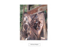 Glory Foods - Machinery Scrap - as per list attched