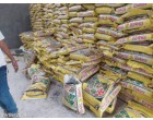Fertilizer: SSP (ZNG & ZNBG)-304.4 MT at Hisa