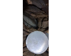 Salvage of SS Circle Sheet & Bowl - 14.31 MT lying at Silvassa , Daman & Diu