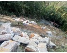 Natural Rubber