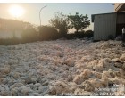 Fire/Water Damaged 6 Grade Raw Ginned Cotton