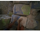Dalmia Cement - 4900 Bags (245 MT) at Sultanpur UP