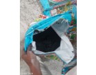 Fertilizer: SSP (ZNG & ZNBG)-304.4 MT at Hisa