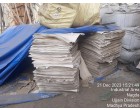 Damaged Pulp – Approx. 557 MT Nagda MP