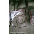 Dalmia Cement -3390 Bags at Varanasi UP