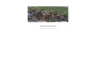 Glory Food Building Scrap _ Approx. 25 MT