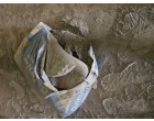 Dalmia Cement- 3893 Bags at Begusarai Bihar