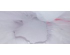 Aspet Resin AS 20C - 18.337 MT