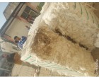 Fire damaged Cotton Bales - Approx.16000 kg at Patiala