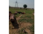 Hydraulic Excavator