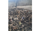 Semi-Burnt & water affected Stock of imported and indigenous Waste Paper-Approx. Qty. – 539 MT