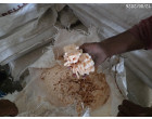 Water effected Soap Noodles - 18MT