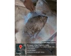 PRISM JOHNSON CEMENT – 7900 BAGS Dearia UP