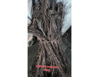 Valley Iron (LOT-2) : Copper Cable Scrap