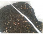 Food Grains, spices & flours (besan, maida et