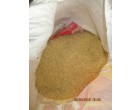 RICE- Dawaat, 20.3MT, Mandideep (Bhopal)- M.P