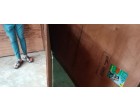 Greenply Board - 520 Pcs at Thane MH