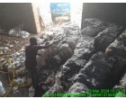 Fire affected Cotton Bales - 12 MT
