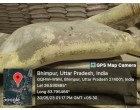 PRISM JOHNSON CEMENT – 7900 BAGS Dearia UP