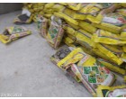 Fertilizer: SSP (ZNG & ZNBG)-304.4 MT at Hisa