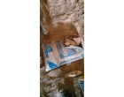 Dalmia Cement -4700 Bags at Purnea Bihar