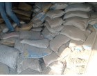 Dalmia Cement -5900 Bags at Muzaffarpur Bihar