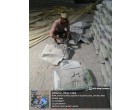Dalmia Cement -3750 Bags(187.5 MT) at Sasaram