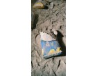 Dalmia Cement -4700 Bags at Purnea Bihar