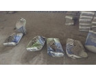 Dalmia Cement- 3350 Bags (167.5 MT) at Satna MP