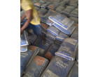 Wet Damaged DALMIA CEMENT -14801 Bags at Warisaliganj, Bihar
