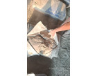 Dalmia Cement-8329 Bags lying at Warsaliganj