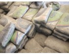 Dalmia Cement -3450 Bags at Bettiah, Bihar