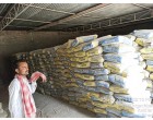 Dalmia Cement- 5008 Bags at Katihar Bihar