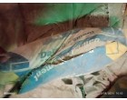 Dalmia Cement -3982 Bags at Samastipur BH