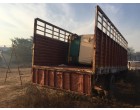 HR 55T 0197 - Eicher