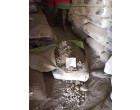 Dalmia Cement -5900 Bags at Muzaffarpur Bihar