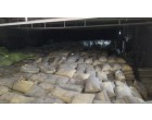 Dalmia Cement -8990 Bags at Basti, UP.  