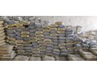 Dalmia cement -6600 Bags at Buxar-BH