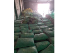 Dalmia Cement - 4262 Bags at Warsaliganj, BH