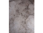 Sugar- 27.9 MT approx in Kolkata