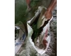 Dalmia Cement -3982 Bags at Samastipur BH